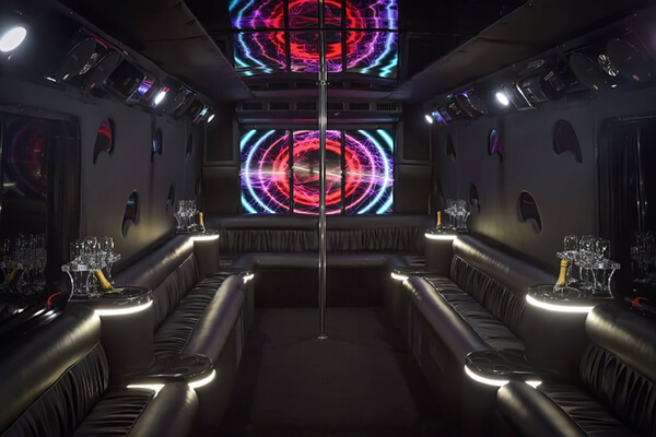 30-passenger party bus rental with led lighting