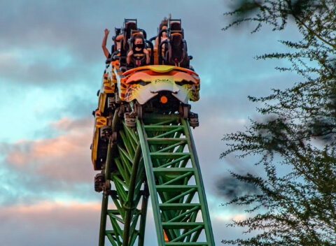 bush gardens tampa bay