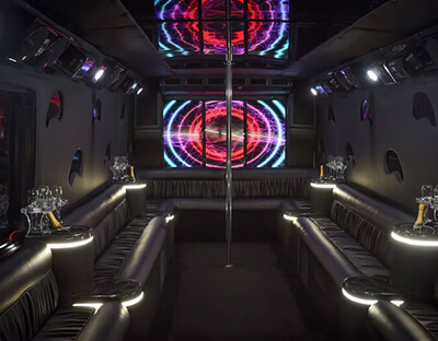 30 passenger party bus #1